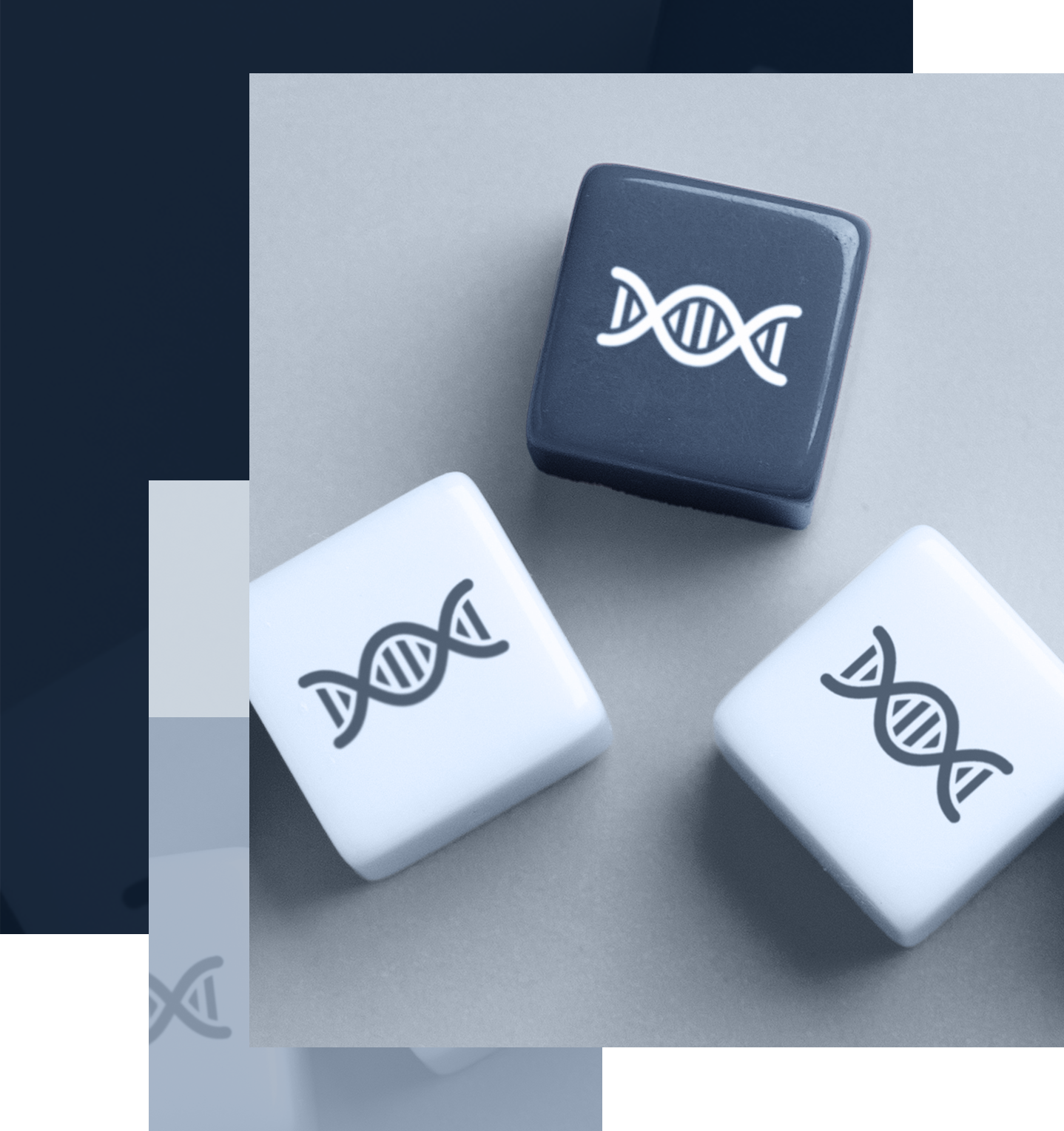 Wallace-Real-Estate-Established-1936